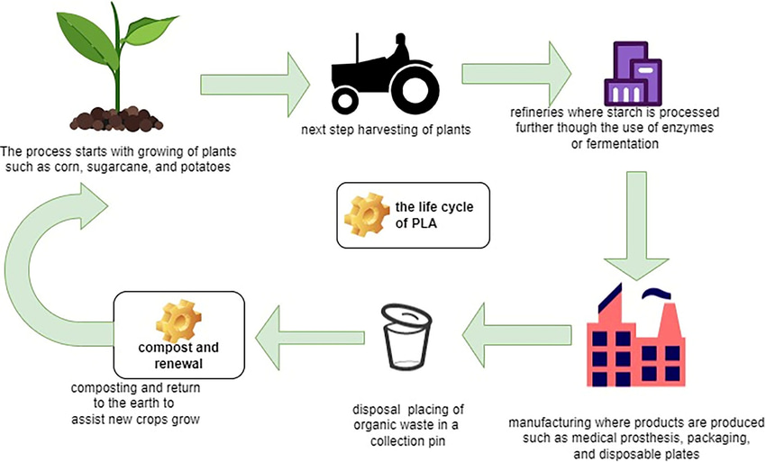 PLA Plastic Production Lifecycle