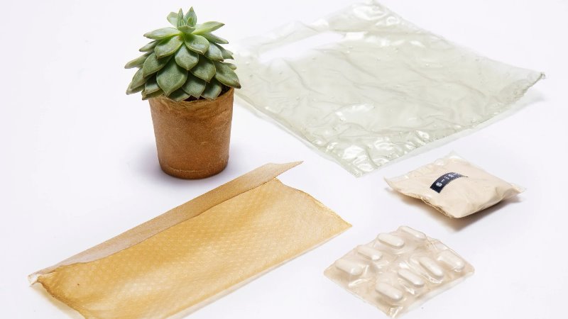 What are bioplastics