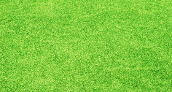 artificial grass