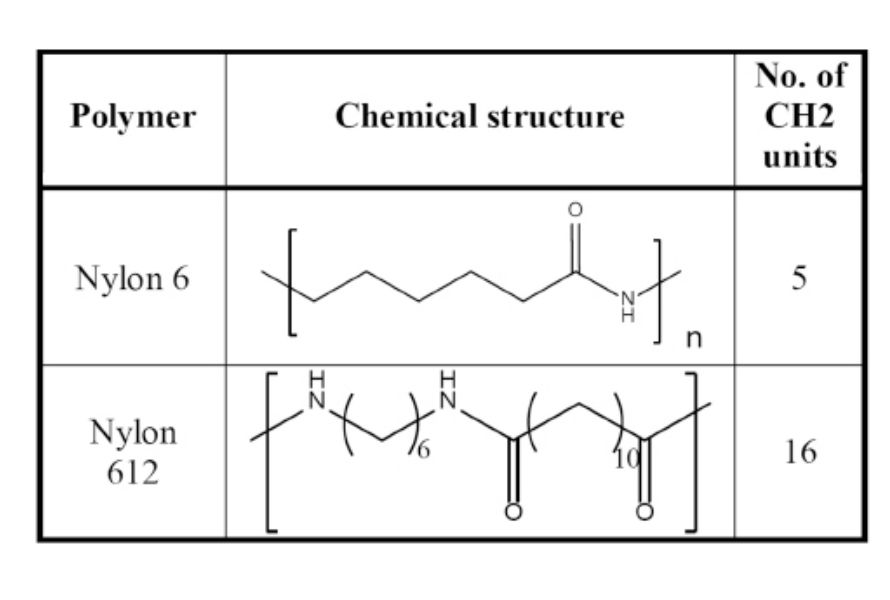 Nylon 6 vs nylon 12