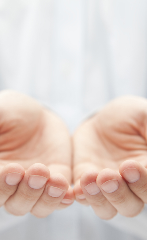 About Us - EuP Egypt