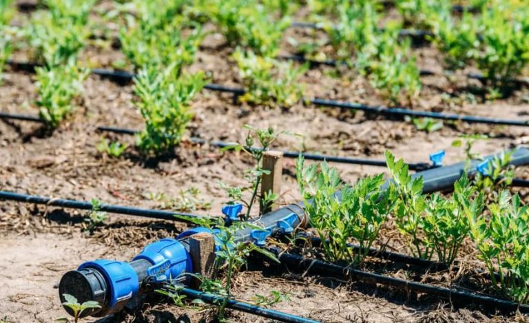 تستخدم أنابيب البولي إيثيلين عالي الكثافة على نطاق واسع بسبب قوتها