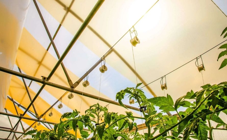 تعتبر المواد البلاستيكية الحرارية ضرورية في الزراعة لإنشاء أنظمة الري وأغطية البيوت الزجاجية